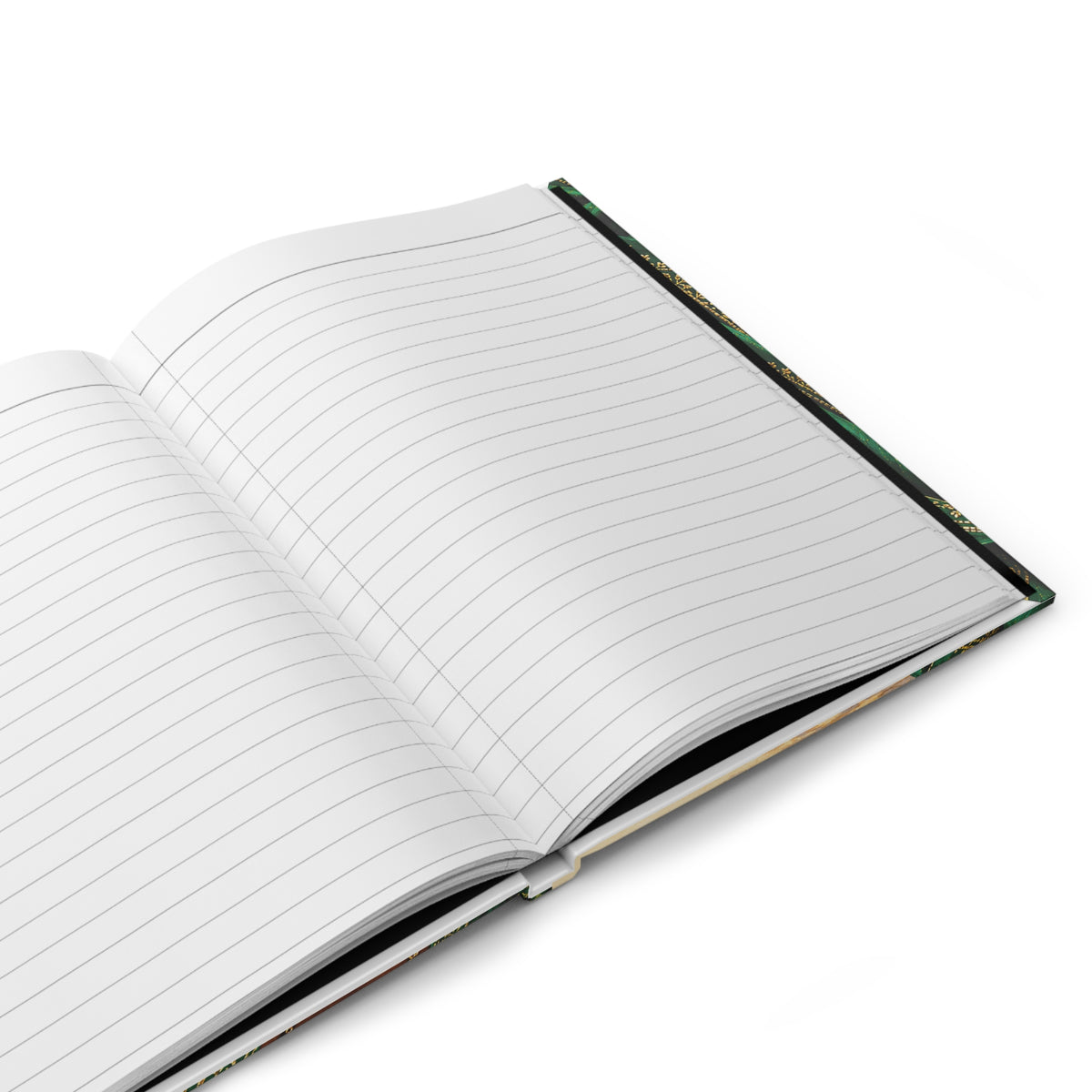 The Tignon Collection — The Angisa (Suriname) Journal